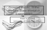 Growing Public: Is the Welfare State Mortal or Exportable?siteresources.worldbank.org/SAFETYNETSANDTRANSFERS/Resources/... · Development Economics (DEC) Lectures: April 21, 2005