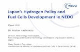 Japan’s Hydrogen Policy and - ieafuelcell.com · International Partnership on Hydrogen and Fuel Cells in the Economy (IPHE) ... Power generation mix in Japan 3. Increasing CO2 emissions