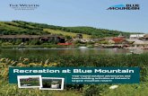 Recreation at Blue Mountain9dcccf8b91d92c9492d5-c0959210182fe02e5d4e6ad28c4e7680.r80.cf1.… · Recreation at Blue Mountain Year-round outdoor adventures and team building activities