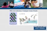 Microevolution: Unique Gene Pools - Wikispaces Microevolution... · contribute genes to the gene pool, thus affecting evolutionary success. • Species change over time. These changes