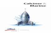 Calciner Marine - Aluminium Bahrainalbasmelter.com/Range/pdf/ccp.pdf · 3 | | 2 Alba’s Petroleum Coke Calciner and seawater desalination plant was commissioned in May 2001 – a