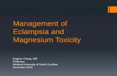 Management of Eclampsia and Magnesium Toxicity · PDF fileManagement of Eclampsia and Magnesium Toxicity Eugene Chang, MD Professor. Medical University of South Carolina. November