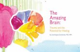 The Amazing Brain - azcadv.org · The Amazing Brain: Trauma and the Potential for Healing, 2008, Philadelphia, PA. This brochure was written by Linda Burgess Chamberlain, PhD, MPH
