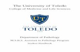 The University of Toledo 022618.… · The University of Toledo ... An ability to provide evidence-based knowledge in presenting ... COMLS Pathology Assistant program believes that