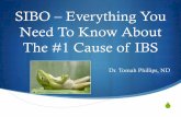 SIBO Everything You Need To Know About The #1 Cause of … Webinar 2016.pdf · SIBO – Everything You Need To Know About ... diet S Enzymes, probiotics, ... S Malabsorption Syndrome