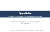 User Guide for OpenDrive Application v1.6.0.4 for MS ... Guide for OpenDrive Application v1.6.0.4 for MS Windows Platform ... Open, Edit Files, ... Secure Files can only be accessed