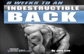 LEGAL STUFF - superfoodnewsdaily.comsuperfoodnewsdaily.com/hidden/Indestructible_BackPain_PROOF_r2.pdf · John Izzo, NASM-CPT, ... The common thread ... In simplistic terms, muscles