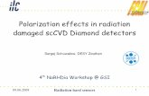 Polarization effects in radiation damaged scCVD … · Polarization effects in radiation damaged scCVD Diamond detectors ... ILC RDR BeamCal LumiCal ... The Forward Region Calorimetry