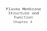 Plasma Membrane Structure and Function - Bloomsburg Membrane 100    PPT file  Web view2010-03-05 