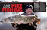 SIMPLE PIKING A guide PIKE - WordPress.com · SIMPLE PIKING 2|COARSE Fisherman ... ‘guesstimates’. Interestingly, on many venues, particularly gravel pits, pike can come in all