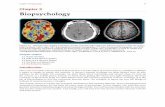 Chapter 3 Biopsychology - d37djvu3ytnwxt.cloudfront.net · Chapter 3 Biopsychology Figure 3.1 Different brain imaging techniques provide scientists with insight into different aspects