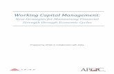 Working Capital Management - Treasury & Riskmedia.treasuryandrisk.com/treasuryandrisk/historical/whitepapers/... · Working Capital Management: ... Prepared by APQC in ... concerns