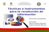 Técnicas e instrumentos de investigación cuantitativa · Técnicas e instrumentos para la recolección de información Economía y Estadística Docentes: Maria Cristina Figueroa