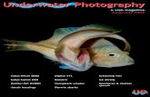 Underwater Photography - SENSACIONES.org · Underwater Photography Subal Nikon SB80 ... graphy just got easier and a whole lot more ... Basics & Principles 65% Digital Cameras 64%