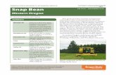 Snap Bean - Western Oregon Nutrient Management Guide · Snap Bean Western Oregon A.L. Heinrich, D.M. Sullivan, and E. Peachey ... Aaron L. Heinrich, faculty research assistant in