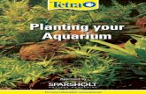 Planting your Aquarium - Tetra/media/Downloads/Brochures_int/Planting your... · 2 To create a healthier, more attractive aquarium, you will want to ensure it contains a good selection