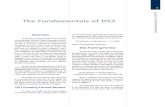 The Fundamentals of DS3 - OoCitieskatmci/pdfs/ds3.pdf · 1 Fundamentals of DS3 Overview To meet the growing demands of voice and data communications, America’s largest corporations