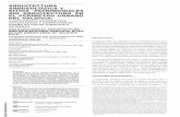 ARQUITECTURA SITIOS PATRIMONIALES SIN …mingaonline.uach.cl/pdf/aus/n12/art02.pdf · hispana decorada - mayólicas tipo Panamá, ... Blanco y Polícromo A (Rovira, 2001)-, distribuida