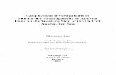 Geophysical Investigations of Submarine Prolongations …elib.suub.uni-bremen.de/edocs/00101408-1.pdf · Geophysical Investigations of Submarine Prolongations of Alluvial ... 3.5.2
