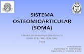 SISTEMA OSTEOMIOARTICULAR (SOMA)semiologiahnc.webs.fcm.unc.edu.ar/files/2018/07/Sistema...GENERALIDADES • Tener en cuenta que cuando se analiza el SOMA, también se está considerando