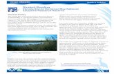 Student Reading Introduction to the Grand Bay National ... · The Grand Bay National Estuarine Research Reserve ... These habitats supply nutrients for many marine species. ... A