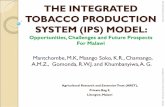 THE INTEGRATED TOBACCO PRODUCTION SYSTEM (IPS) MODEL … · THE INTEGRATED TOBACCO PRODUCTION SYSTEM (IPS) MODEL: Opportunities, Challenges and Future Prospects For Malawi Mantchombe,