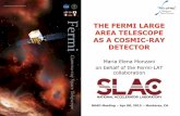 THE FERMI LARGE AREA TELESCOPE AS A COSMIC … Elena_Monzani_200.02.pdf · THE FERMI LARGE AREA TELESCOPE AS A COSMIC-RAY ... The Fermi-LAT is a pair conversion telescope ... (requiring