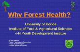 Why Forest Health? Forest Health.pdfWhy Forest Health? University of ... • Fire Maintained Sub -Climax Ecosystems. Biotic Issues ... Gypsy Moth (STS, Supp. Erad.): $9,800,000 ...