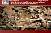 MAMMAL COMMUNICATIONS Volume 3 ISSN 2056 …€¦ · MAMMAL COMMUNICATIONS Volume 3 ISSN 2056-872X ... Hazel dormice (Muscardinus ... The woodlands were revisited between five and