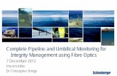 Complete Pipeline and Umbilical Monitoring for Integrity ...€¦ · 7 December 2012 . Vincent Alliot . Dr Christopher Bridge . Complete Pipeline and Umbilical Monitoring for Integrity