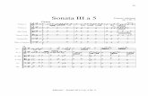 Sonata III a 5 Tomaso Albinoni op. 2 Nr. 5 Grave tr .Albinoni - Sonata III a 5 op. 2 Nr. 5 Sonata