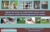 Signes de stress en collectivité canine et les principaux ...sfcyno.com/img/pdf/Signes de stress en collectivite canine et les... · Signes de stress en collectivité canine et les