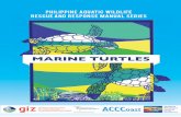 MARine tuRtleS - Marine Wildlife Watch of the Philippines Turtle Biology Threats Legal Framework for Conservation 2 Marine Turtle Handling, Tagging, and Release Handling ... of marine