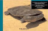 Roti Island report - DIassets.wwfid.panda.org/downloads/traffic_roti_island_report_jan_06... · traffic southeast asia the trade of the roti island snake-necked turtle chelodina mccordi