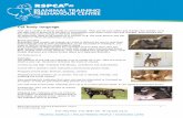 Cat body language - Logan City€¦ · RSPCA Qld Animal Training & Behaviour Centre 1 Cat body language.doc P 07 3426 9928 F 07 3848 1178 W rspcaqld.org.au Cat body language …