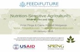 Nutrition-Sensitive Agriculture a project promoting micronutrient-rich food consumption ... A Landscape Analysis of Activities Across ... Komatsu, Hitomi, ...