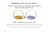 Polarities Are Everywhere - c.ymcdn.com · Polarities Are Everywhere: ... Coaching People and Managing Polarities. Amherst: HRD Press, ... are at the heart of wisdom and cultural