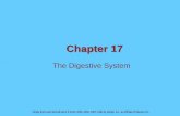 Chapter 17 The Digestive System - Linn-Benton …cf.linnbenton.edu/mathsci/bio/klockj/upload/Chapter17Digestion... · Chapter 17 The Digestive System . ... –Set complete between