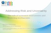 Addressing Risk and Uncertainty€¦ · Addressing Risk and Uncertainty The role of economic instruments and financing mechanisms Kathleen Dominique OECD Environment Directorate ...