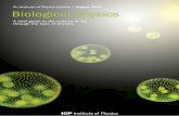 An Institute of Physics booklet | August 2014 Biological ... · Biological physics A brief guide to the science of life through the eyes of physics An Institute of Physics booklet