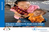 Fill the Nutrient Gap Lao PDR - ReliefWeb · 1 Fill the Nutrient Gap Lao PDR Summary Report Vientiane 2017
