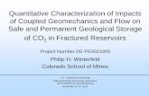 Quantitative Characterization of Impacts of Coupled ... Library/Research/Coal/carbon-storage... · PDF fileQuantitative Characterization of Impacts of Coupled Geomechanics and Flow