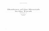 Shadows of the Messiah In the Torah - Moed Ministries …moedministries.com/files/Volume_1_PDF_collection.pdf · 0 MOED MINISTRIES Shadows of the Messiah In the Torah Volume 1 PDF