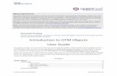 Introduction to OTM Objects User Guide · Introduction to OTM Objects User Guide This guide provides an overview of the OpenTravel Model (OTM). OTM simplifies defining XML Schemas