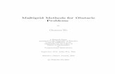 Multigrid Methods for Obstacle Problems · 5.6 2D circle obstacle with minimal surface operator, ... Chapter 1 Introduction The ... in the form of the minimal surface obstacle problem.