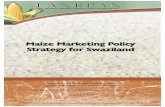 Maize Marketing Swaziland - Home | FANRPAN · MAIZE MARKETING POLICY STRATEGY FOR SWAZILAND i TABLE OF CONTENTS Currency equivalents ii Abbreviations and Acronyms iii …