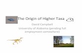 The Origin of Higher Taxa - asa3.org · The Origin of Higher Taxa David Campbell University of Alabama (pending full employment somewhere)