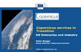 Copernicus services in Transitioneeas.europa.eu/archives/docs/enp/eu-programmes/pdf/2-copernicus... · Copernicus services in Transition DG Enterprise and Industry ... 1998 2001 20082005