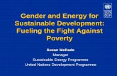 Gender and Energy for Sustainable Development: Fueling …energyaccess.wikispaces.com/file/view/SusanMcDade_FuelingTheFight... · Gender and Energy for Sustainable Development: Fueling