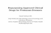 Repurposing Approved Clinical Drugs for Protozoan Diseases · Repurposing Approved Clinical Drugs for Protozoan Diseases David Sullivan MD Dept Molecular Microbiology and Immunology